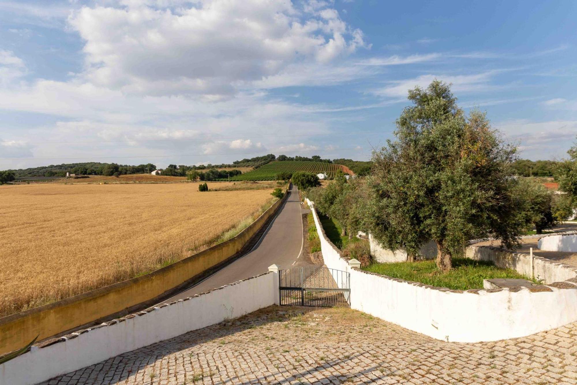 Monte Das Oliveiras - Casas De Campo Estremoz Ngoại thất bức ảnh