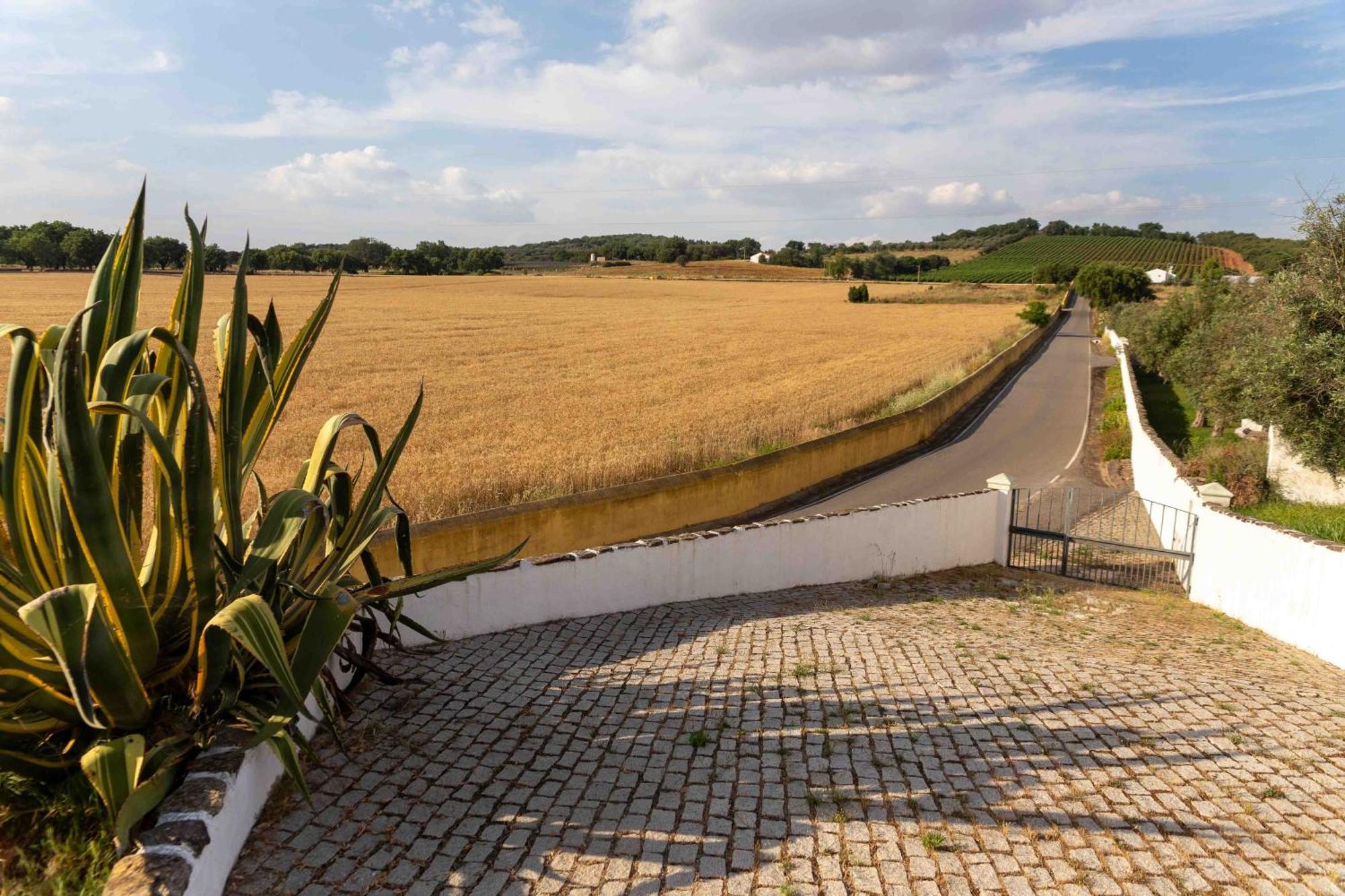 Monte Das Oliveiras - Casas De Campo Estremoz Ngoại thất bức ảnh