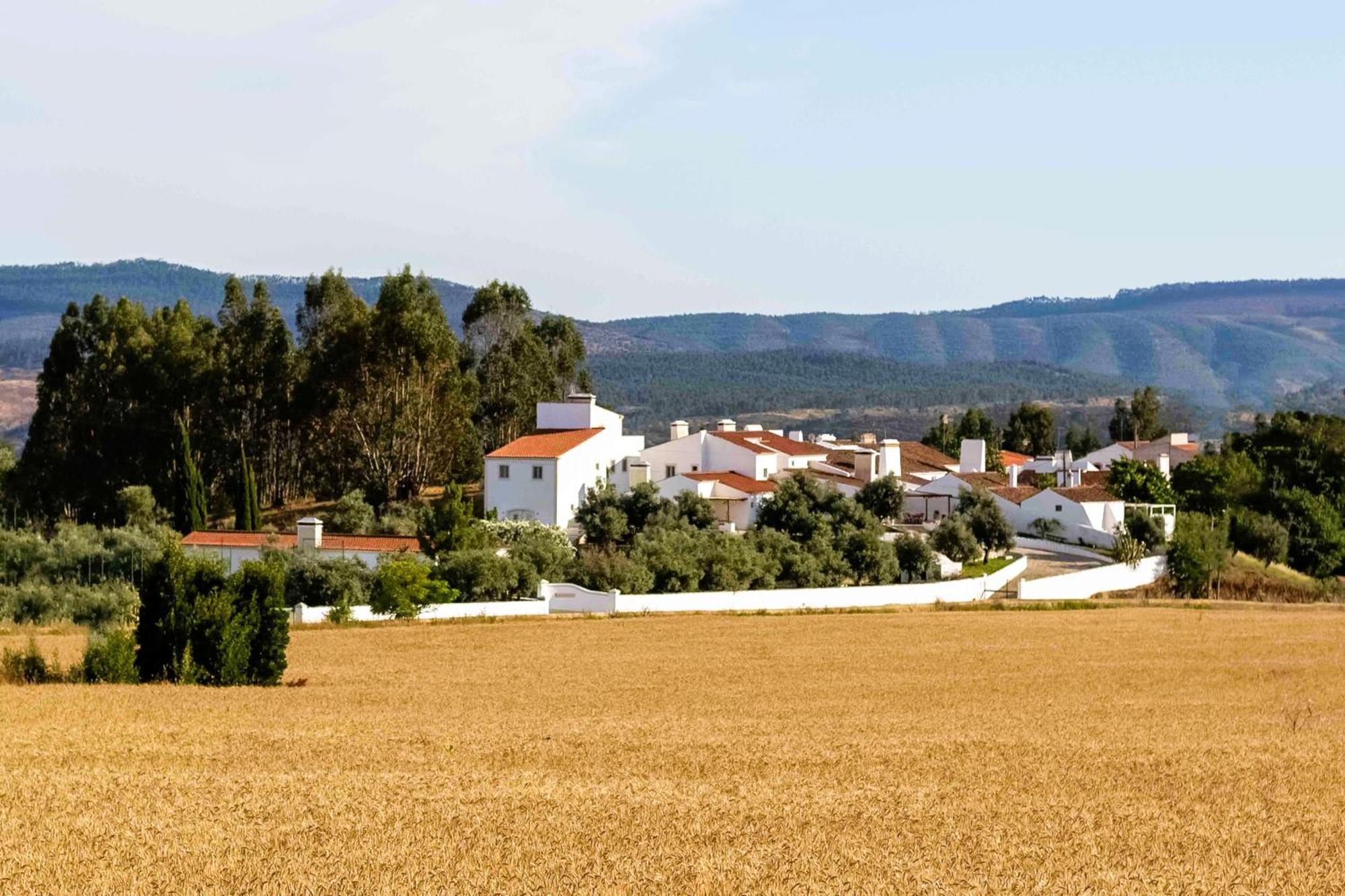 Monte Das Oliveiras - Casas De Campo Estremoz Ngoại thất bức ảnh